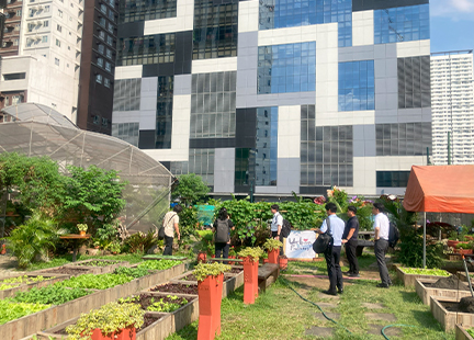 都市型農園訪問の様子