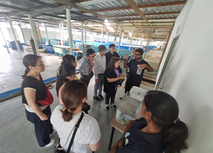 エビ養殖場訪問の様子