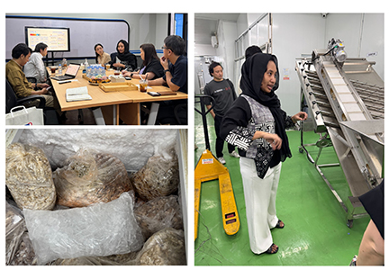 エビ養殖ベンチャー企業の加工現場訪問の様子